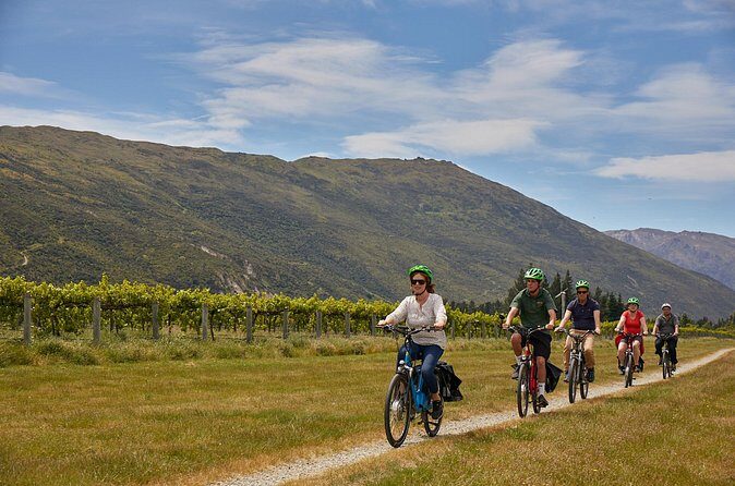 Queenstown Guided E-bike Wine Tour - The Sum Up: Why You Should Consider This Tour