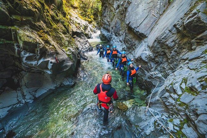 Queenstown Half-Day Canyoning Adventure - What the Reviews Say