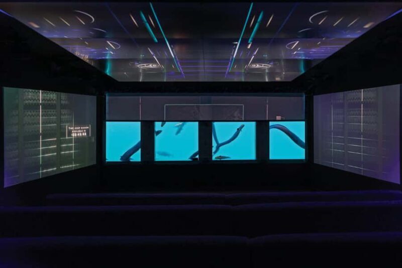 Queenstown: Hidden Underwater Theatre Experience - A Detailed Look at the Underwater Theatre Experience