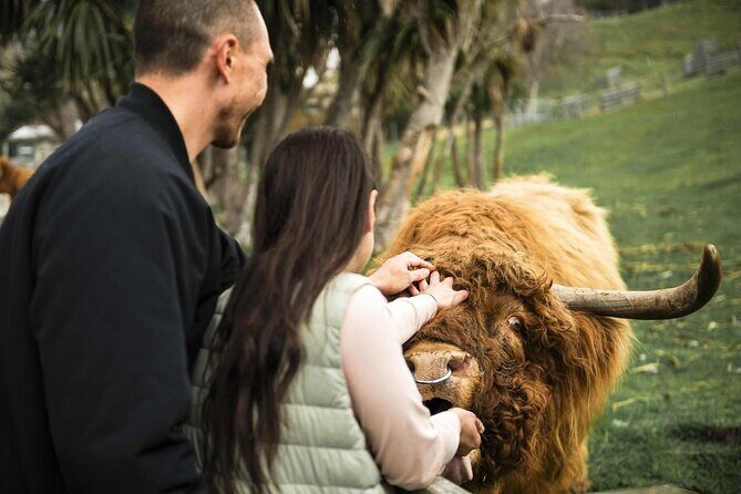 Queenstown Lake Cruise and Walter Peak Farm Adventure - Key Points
