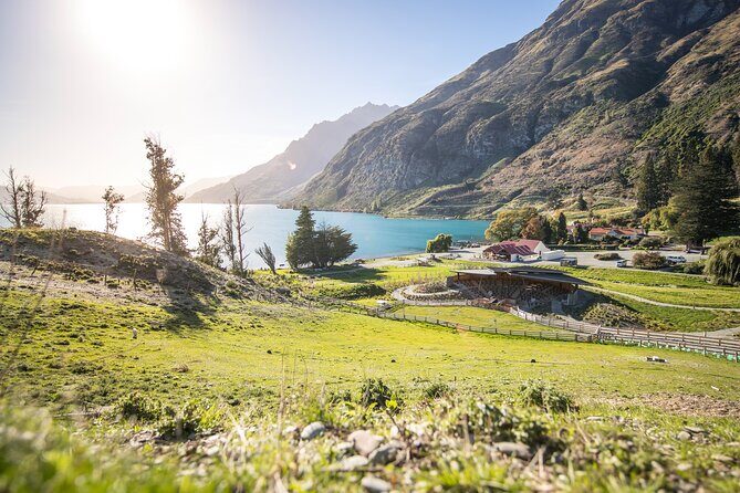 Queenstown Lake Cruise and Walter Peak Farm Adventure - Afternoon Tea and Free Time: The Farm’s Culinary Highlight