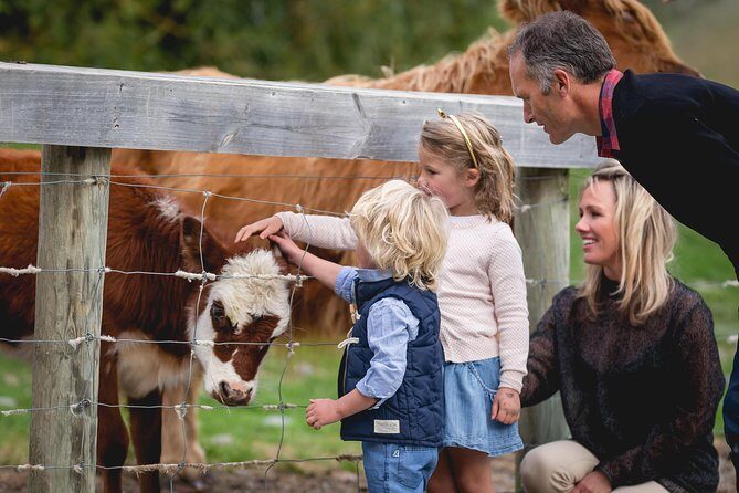 Queenstown Lake Cruise and Walter Peak Farm Adventure - Authenticity and Highlights from Reviews