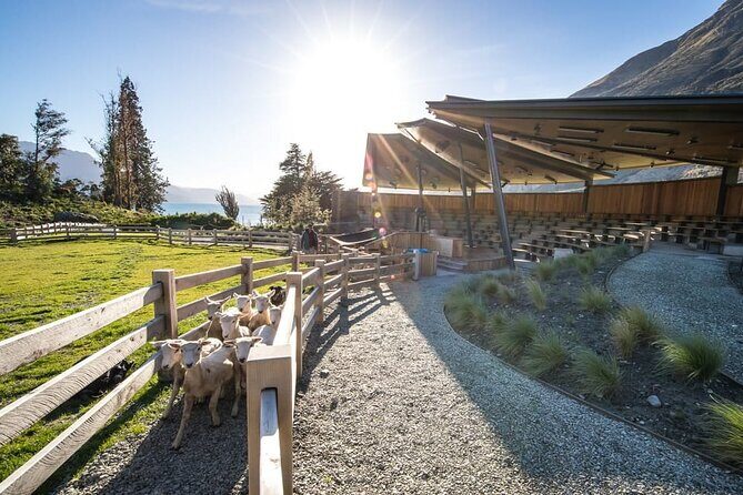 Queenstown Lake Cruise and Walter Peak Farm Adventure - Final Thoughts: Who Will Love This?