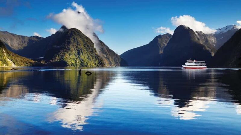 Queenstown: Milford Sound Day Trip - Cruise & Picnic Lunch - FAQ: Practical Questions About the Milford Sound Day Trip