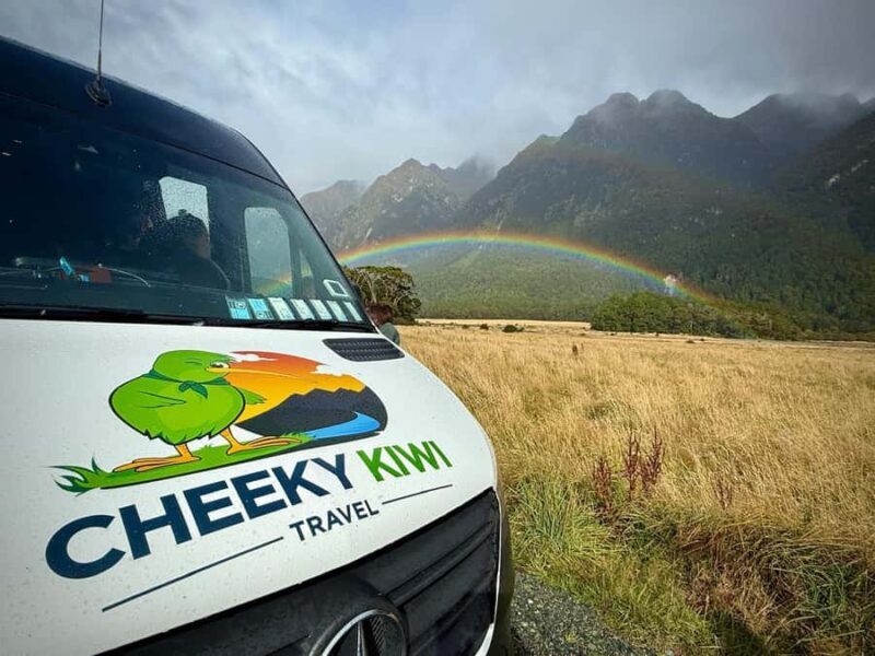 Queenstown: Milford Sound Small-Group Tour w Cruise & Lunch - Food and Comfort: Lunch and Amenities