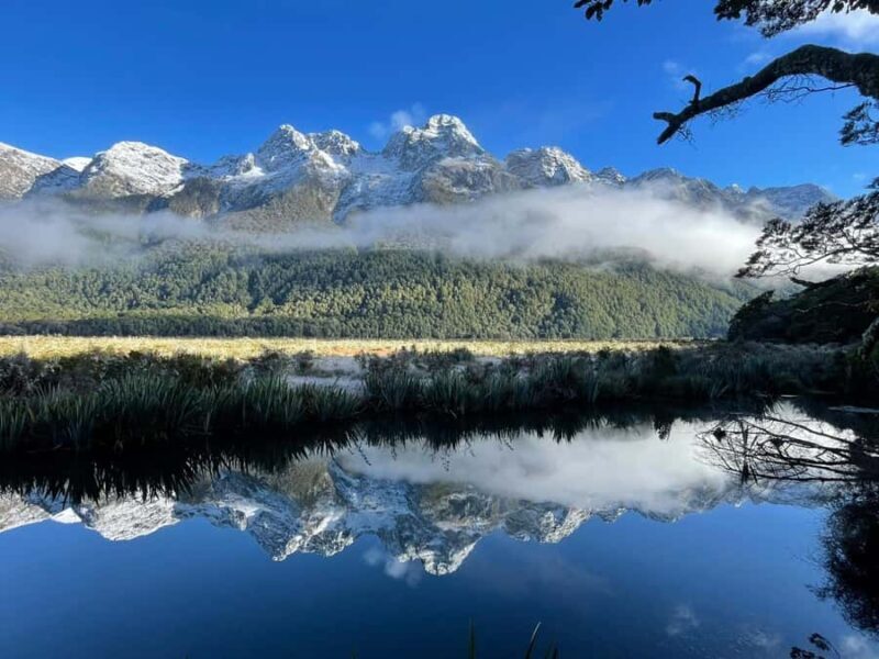 Queenstown: Milford Sound Small-Group Tour w Cruise & Lunch - Price and Value: Is It Worth It?