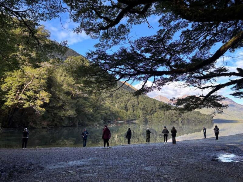 Queenstown: Milford Sound Small-Group Tour w Cruise & Lunch - Who Is This Tour Best For?