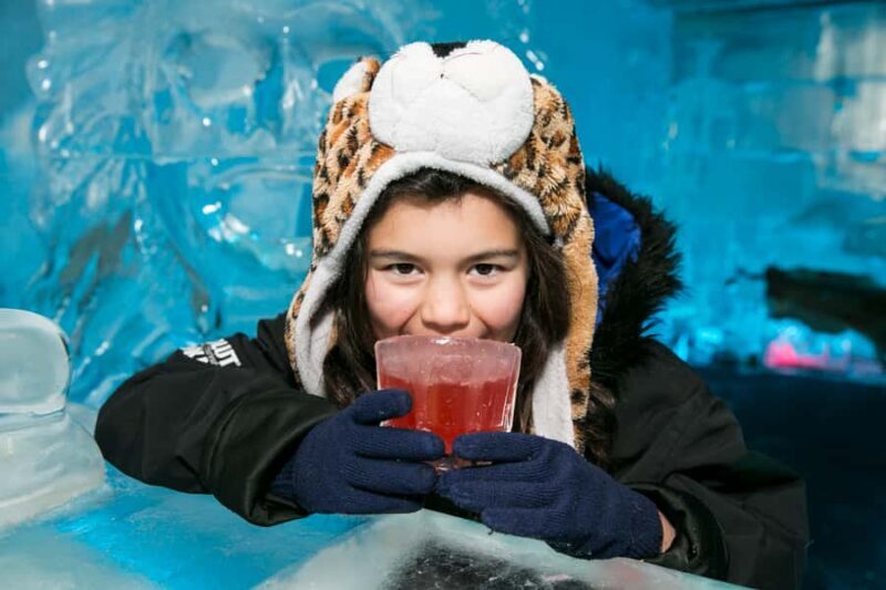 Queenstown: Minus 5 Ice Bar Experience with Drink Options - Key Points