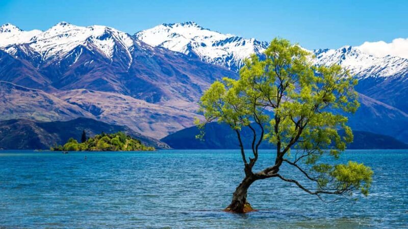 Queenstown: Private 3 Days Trip to Glenorchy Wanaka & Tekapo - Who Will Love This Tour?