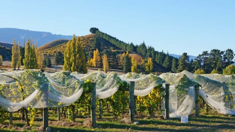 Queenstown: Private 3 Days Trip to Glenorchy Wanaka & Tekapo - FAQ
