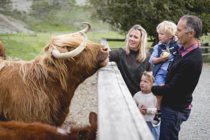Queenstown: Queenstown Lake Cruise and Walter Peak Farm Tour - FAQ