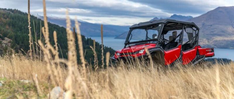 Queenstown: Ride Along Buggy Tour - The Experience and Reviews