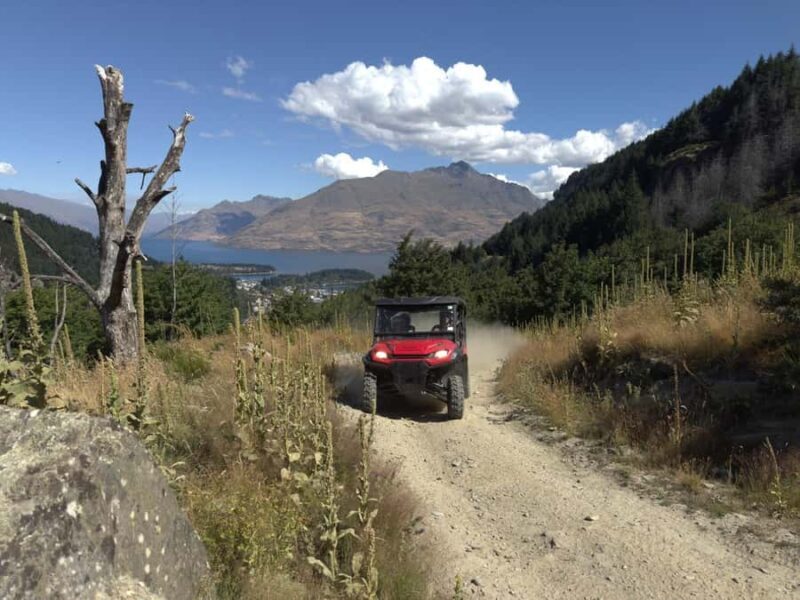Queenstown: Ride Along Buggy Tour - The Sum Up