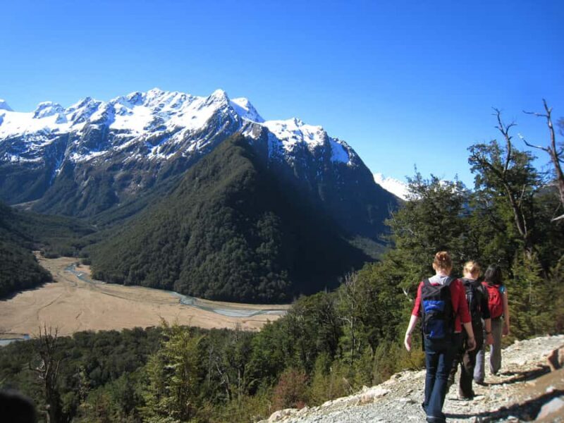 Queenstown: Routeburn Track Guided Full-Day Walk or Half Day - Half-Day Option: Perfect for a Taste of Nature