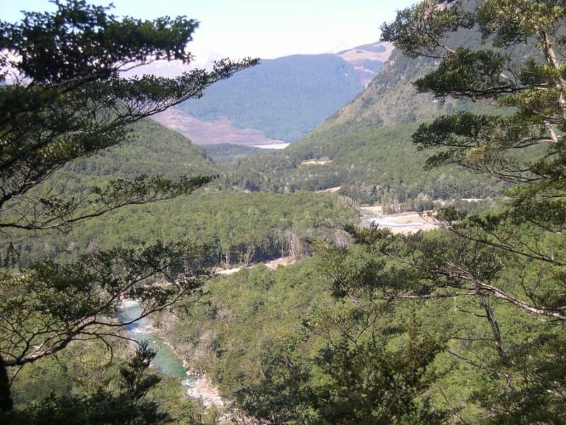 Queenstown: Routeburn Track Guided Full-Day Walk or Half Day - FAQ