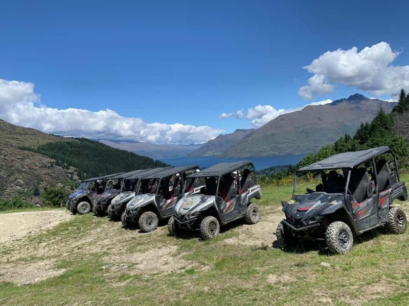 Queenstown: Self Drive Guided Buggy Tour - What You Need to Know Before Booking