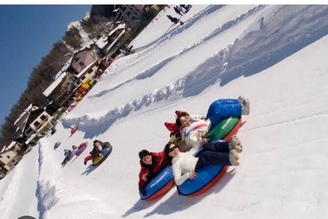 Queenstown to Cardrona Snow Farm Tour - An In-Depth Look at the Queenstown to Snow Farm Tour