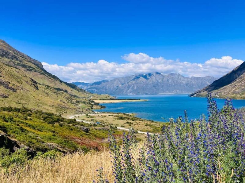 Queenstown to Christchurch via Franz Josef 2-Day Tour - FAQ
