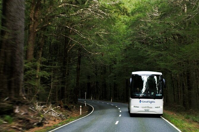 Queenstown to Franz Josef Day Tour - Final Thoughts: Is It Worth It?