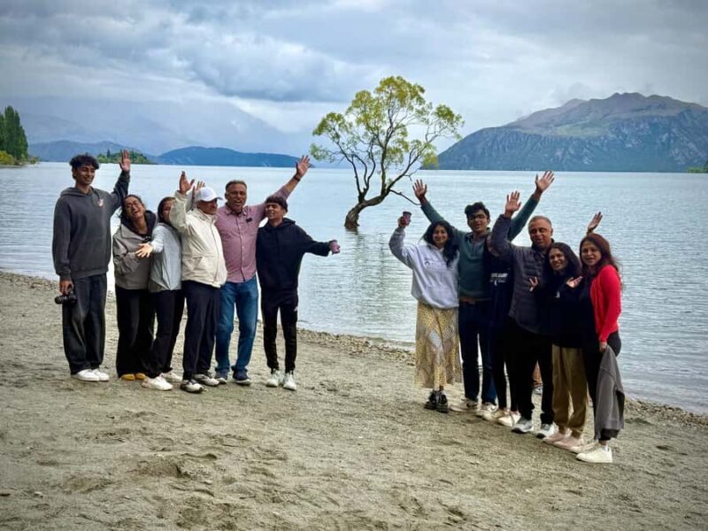 Queenstown to Franz Josef small group tour (one-way) - Lunch at The Hard Antler