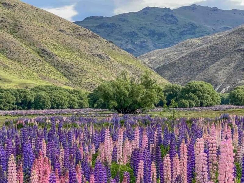 Queenstown to Mt Cook guided overnight tour - Final Thoughts