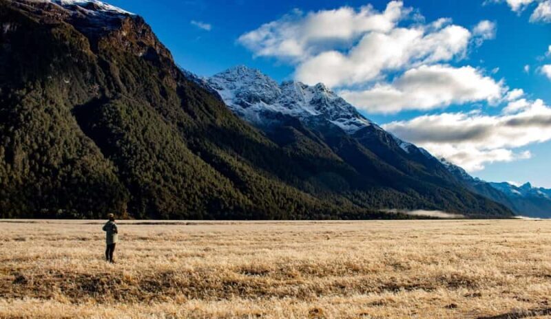 Queenstown to Te Anau via Milford Sound inc Cruise & Lunch - The Itinerary: What Makes Each Stop Special