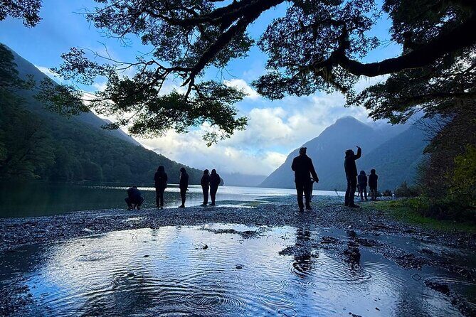 Queenstown to Te Anau via Milford Sound inc Cruise & Lunch - An Excellent Introduction to the Fiordland Region
