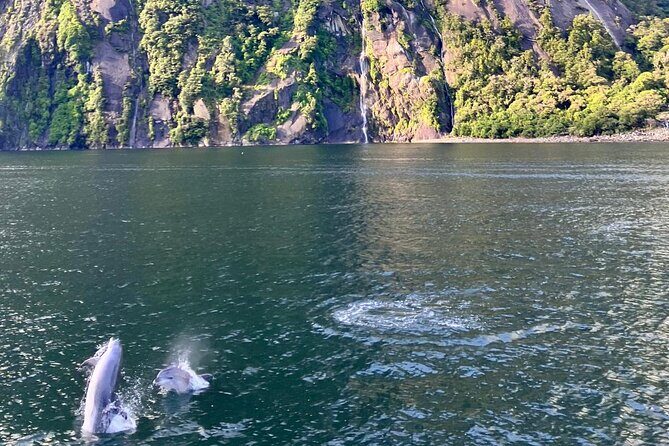 Queenstown to Te Anau via Milford Sound inc Cruise & Lunch - The Sum Up