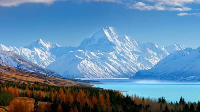 Queenstown to Tekapo Small Group Tour One Way - An In-Depth Look at the Tour Experience