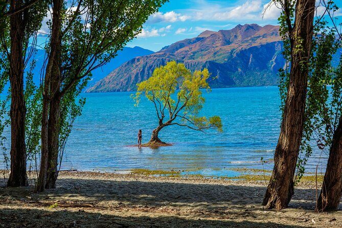 Queenstown to Wanaka Small-Group Tour (one-way) - An In-Depth Look at the Queenstown to Wanaka Journey