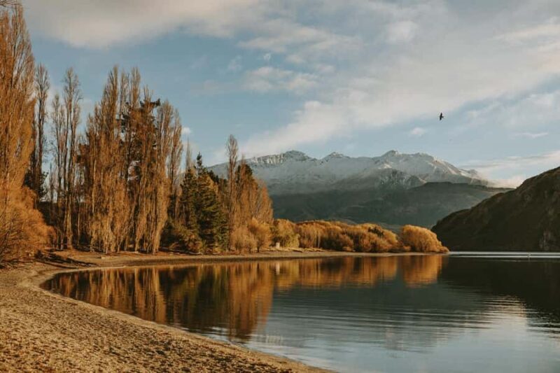 Queenstown to Wnaka One Way Small Group Tour - An Introduction to the Queenstown to Wnaka Tour