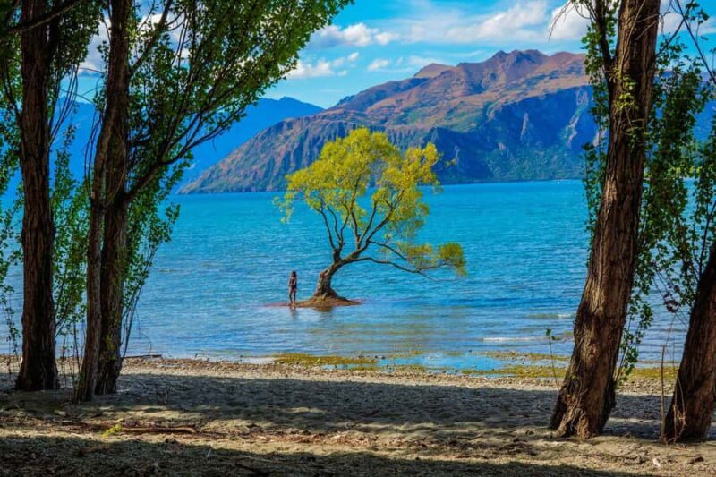 Queenstown to Wnaka One Way Small Group Tour - What Our Research Revealed About This Tour