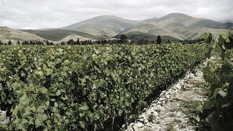 Queenstown: Valli Wine Tasting Experience - Key Points