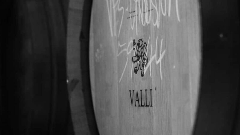 Queenstown: Valli Wine Tasting Experience - What to Expect During the Tasting