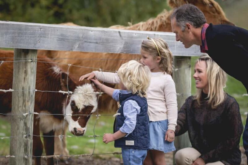 Queenstown: Walter Peak Farm Tour and Lake Cruise - What to Expect: An Honest Breakdown