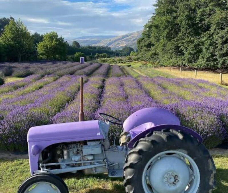 Queenstown: Wanaka & Arrowtown Guided Private Day Tour - How the Tour Works in Practice