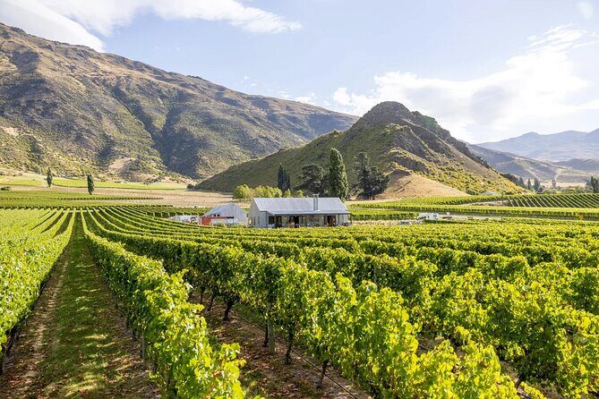 Queenstown Wine & Food Tour: Scenery, Tastings & Delicious Lunch! - The Food and Wine Pairings