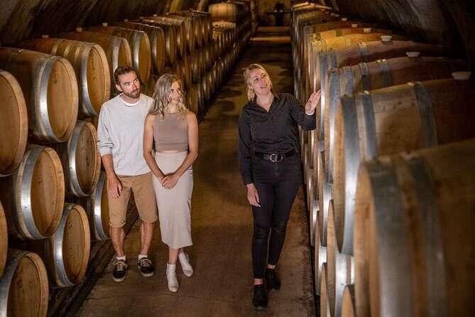 Queenstown Wine & Food Tour: Scenery, Tastings & Delicious Lunch! - Who Will Enjoy This Tour?