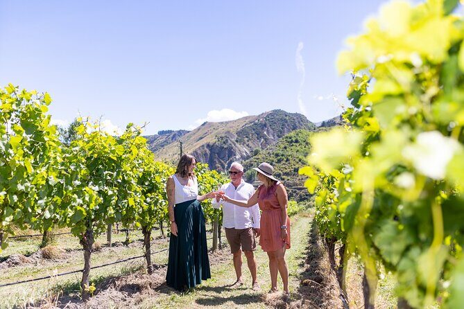 Queenstown Wine Tour - Practical Details