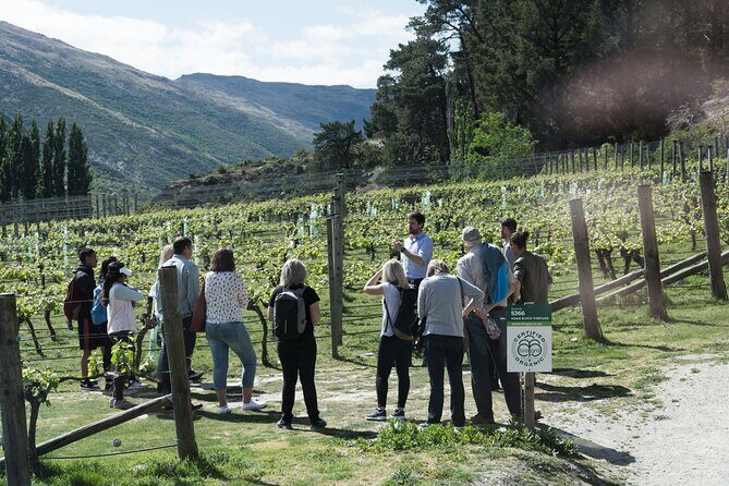 Queenstown Wine Tour - Gibbston Valley Cave | Kinross | Amisfield - Key Points