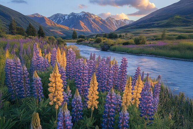 Queenstown Wine Tour - Self Guided Audio Tour (Driving) - Key Points
