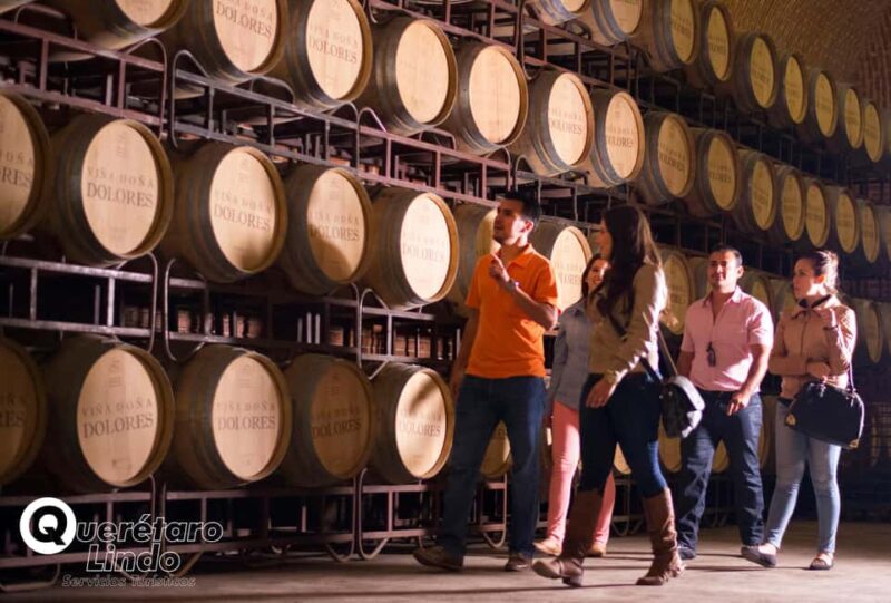 Querétaro: Art, Cheese and Wine Route - Key Points