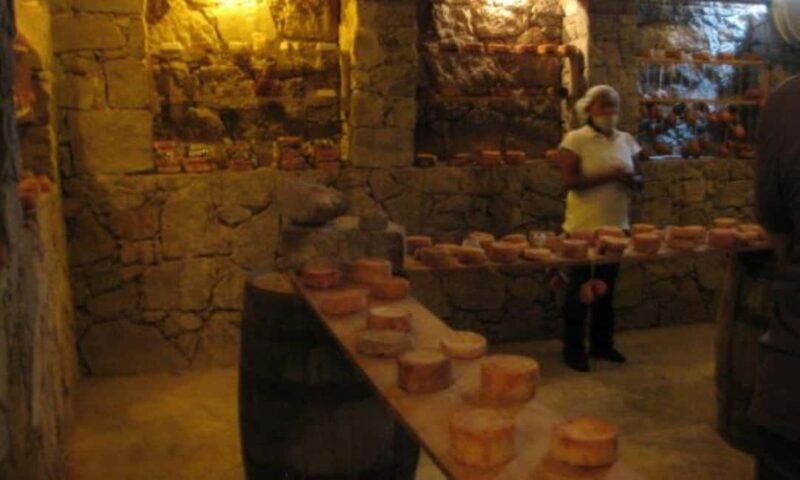 Querétaro: Cheese and Wine Tasting Tour - Final Thoughts on Value and Experience