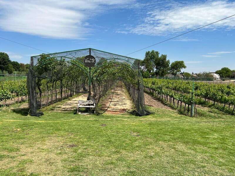 Querétaro: Cheese & Wine Tour In A Day - The Experience of the Stops