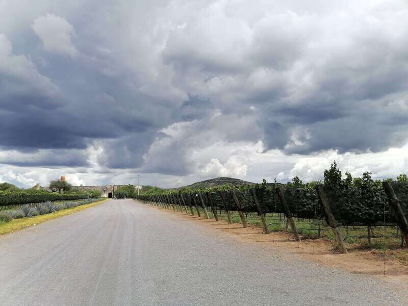 Querétaro: Hacienda Atongo Experience Tour - Discovering the Hacienda Atongo Experience