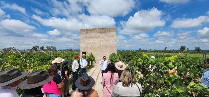 Querétaro: Independence Valley - Guanajuato Wine Tour - Final Thoughts: Who Will Enjoy This Tour?