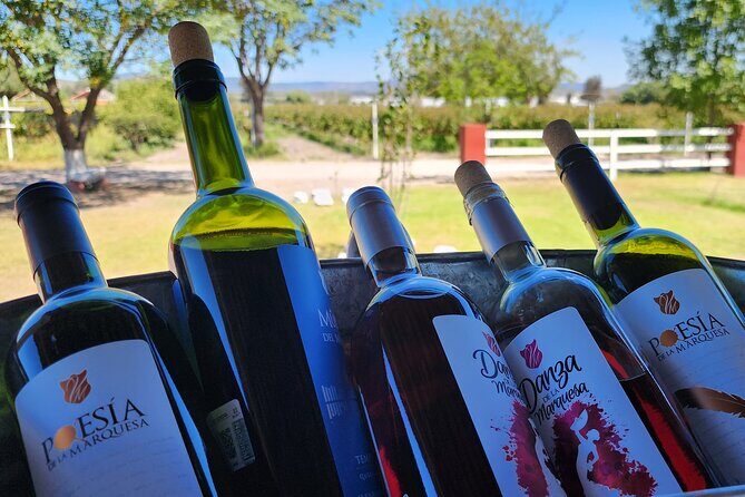 Queretaro Wine Route and Magic Towns - An In-Depth Look at the Itinerary