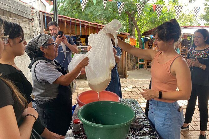 Quesillo and Organic Fresh Cheese only in Oaxaca! - Practical Details