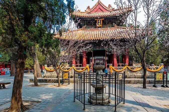 Qufu Private Walking Tour to Confucius Temple, Kong Mansion and Forest - Who Will Love This Tour?