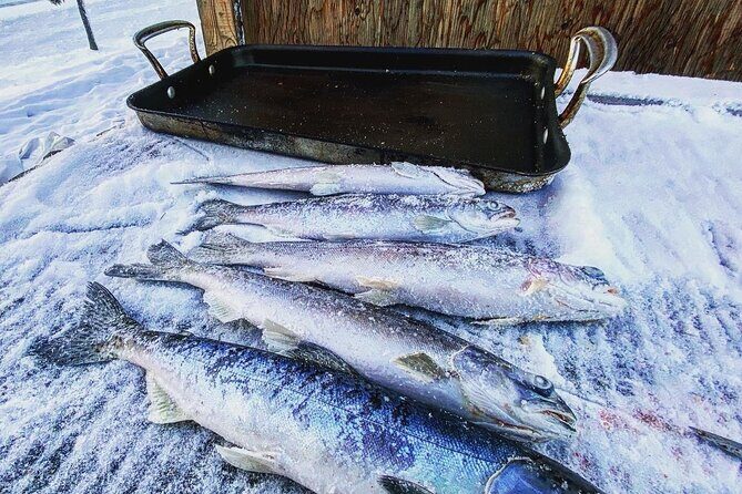Quick and Easy Ice Fishing at Chena Lake - Final Words